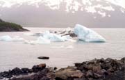 Iceburg from Portage Glacier