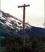 Pole out back of Tidewater Cafe in Portage, Alaska